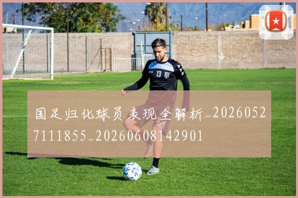 国足归化球员表现全解析_20260527111855_20260608142901
